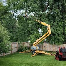 Seasonal Cleanup (Spring/Fall) in Burlington, KY