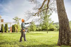 Best Hedge Trimming  in Burlington, KY